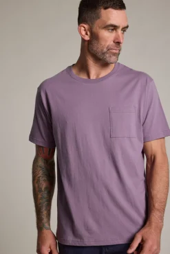 Barkers Graphic & Stripes^Stamp Logo Tee PURPLE