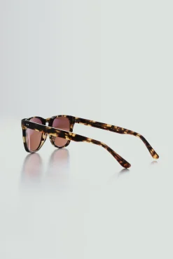 Barkers Sunglasses^Tennyson Polarised Sunglasses BROWN